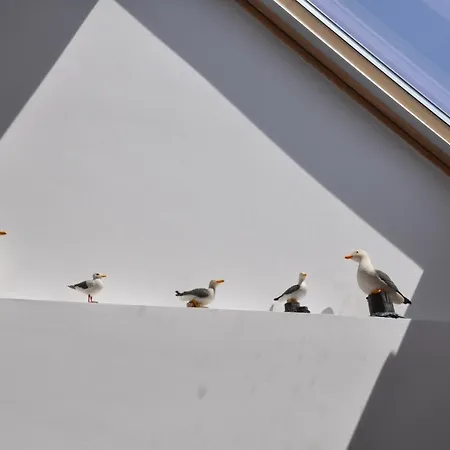 Séjour chez l'habitant 